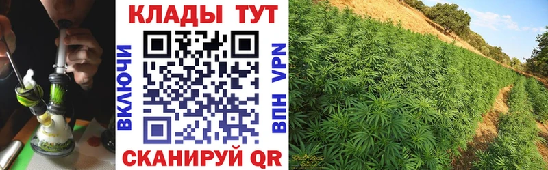 Виды наркотиков купить Кропоткин Альфа ПВП  МАРИХУАНА 